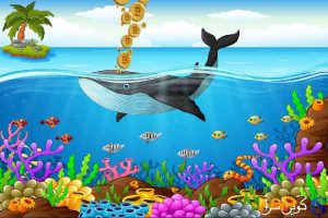 نهنگ بیت کوین