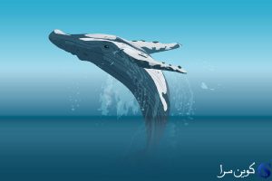 نهنگ بیت کوین