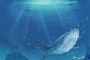 Bitcoin whale