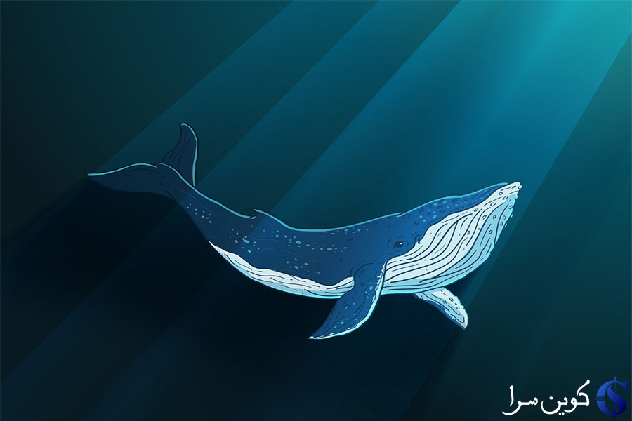 نهنگ بیت کوین