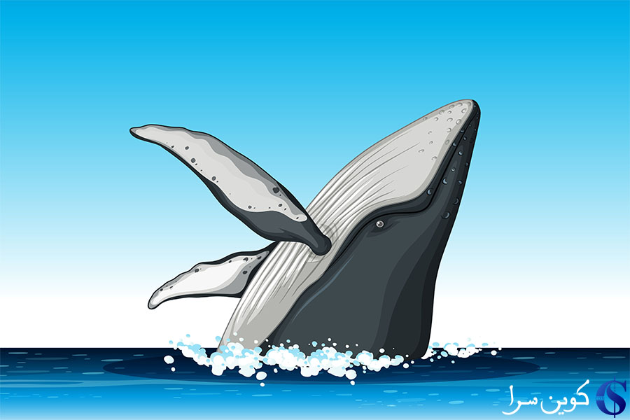 نهنگ های بیت کوین