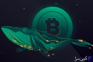 نهنگ بیت‌کوین