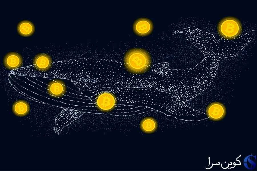 نهنگ های بیت کوین