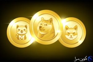 دوج کوین