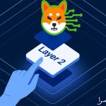 شبکه لایه دو شیباریوم