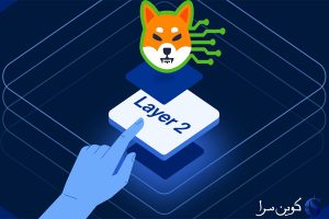 شبکه لایه دو شیباریوم