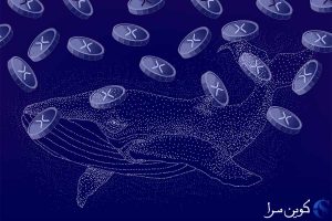 نهنگ های بیت کوین