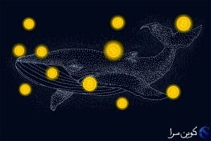 نهنگ بیت کوین