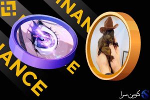 میم کوین ACT