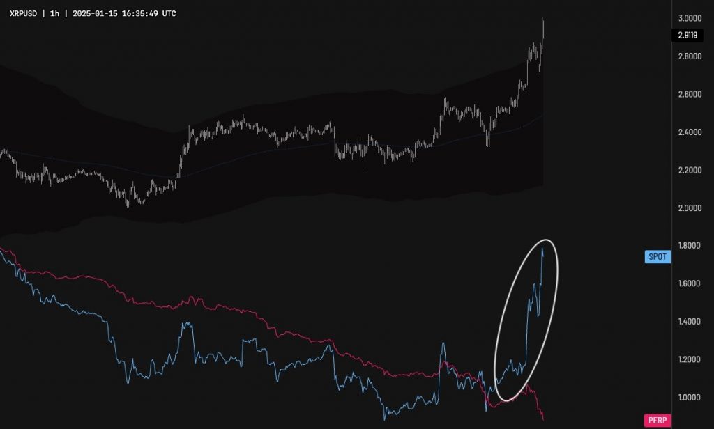 رشد XRP