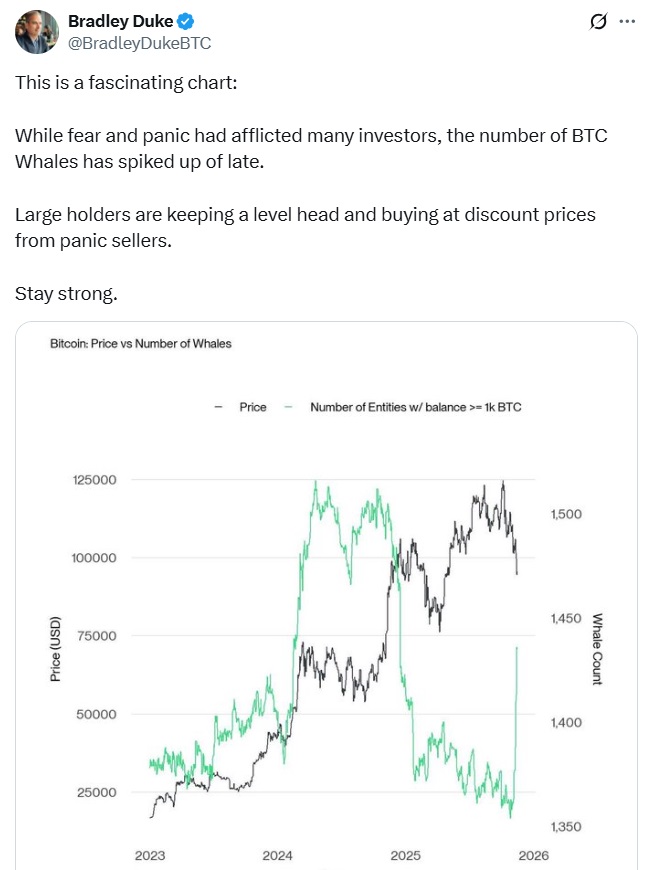 نهنگ بیتکوین