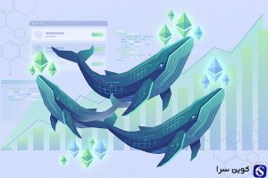 نهنگ‌های بزرگ